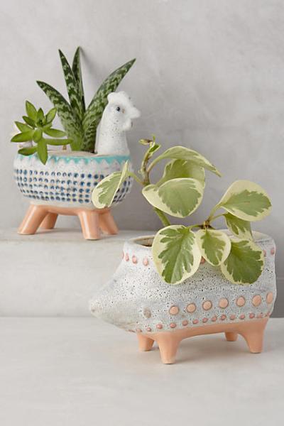 critter planters